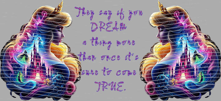 16oz Princess-N4-422